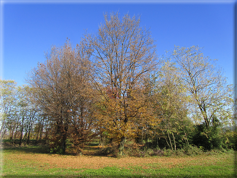 foto Alle pendici del Monte Grappa in Autunno